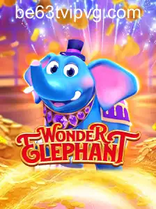 WonderElephant